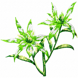 Flowers And Tree Embroidery Design 1 Flowers And Tree Embroidery Design 1